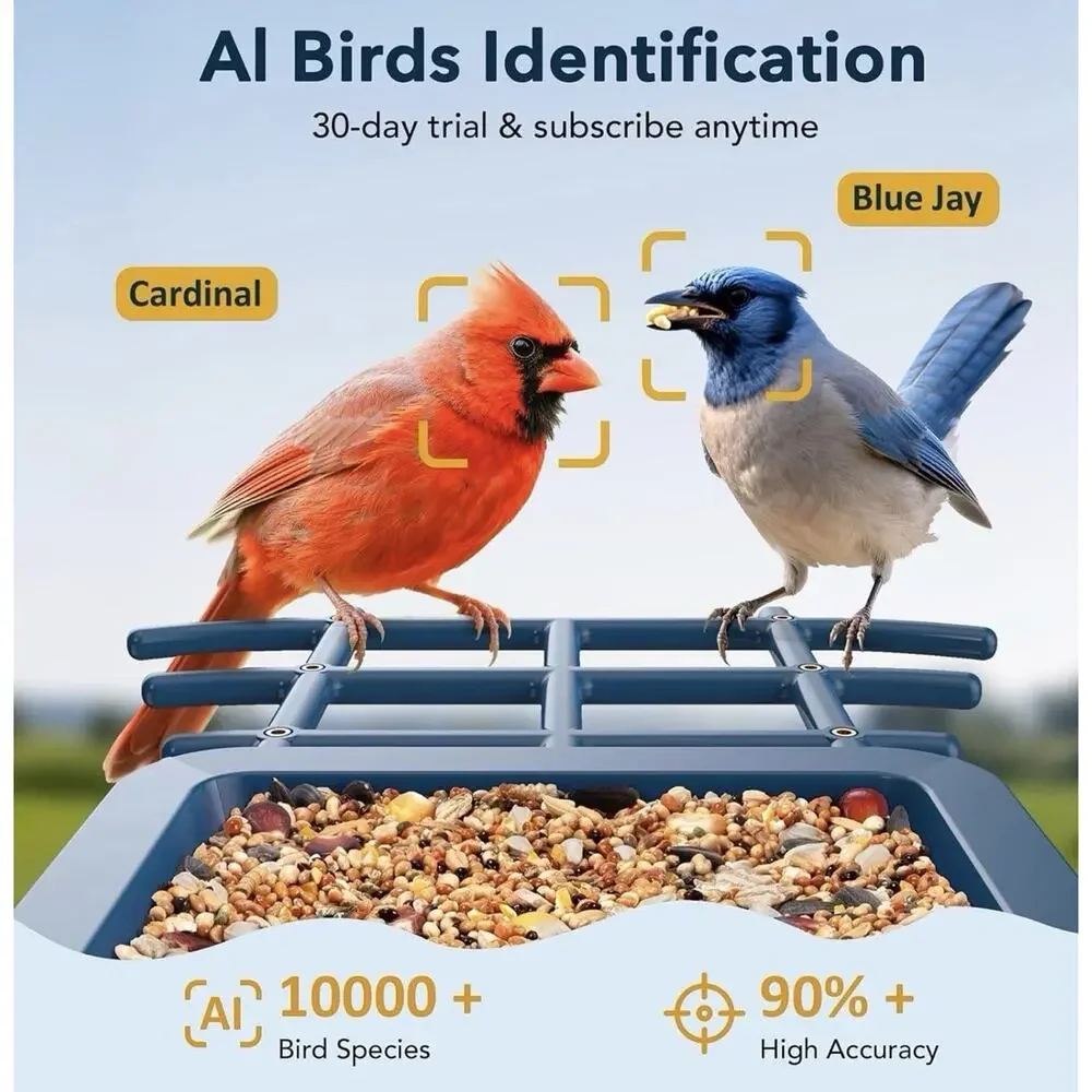 Peckcam watch birds